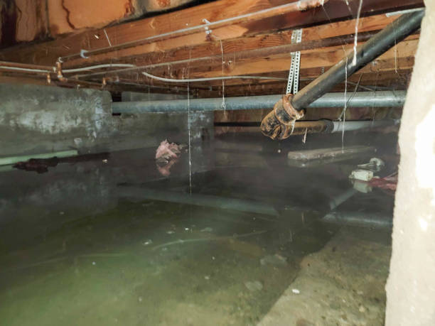 Water damage restoration experts in FL