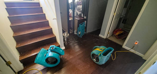 Best Basement water damage restoration  in Atlantis, FL