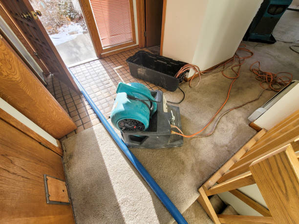 Best Water damage restoration mold remediation  in Atlantis, FL