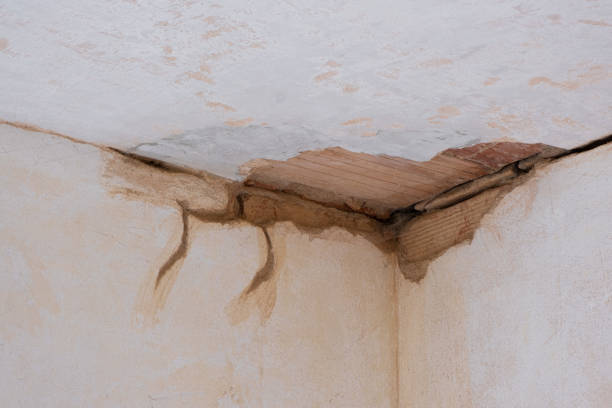 Best Local water damage restoration  in Atlantis, FL
