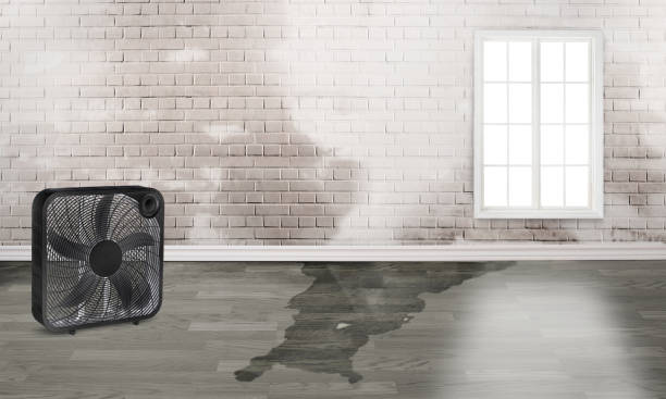 Fire Damage Restoration in FL