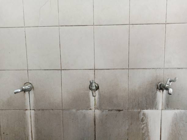Best Flood damage cleanup  in Atlantis, FL