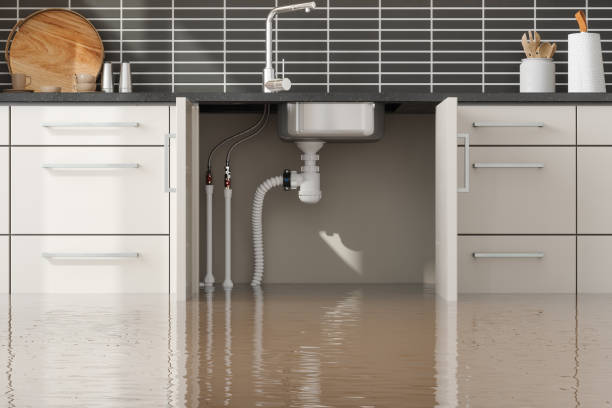 Best Fire Damage Restoration  in Atlantis, FL